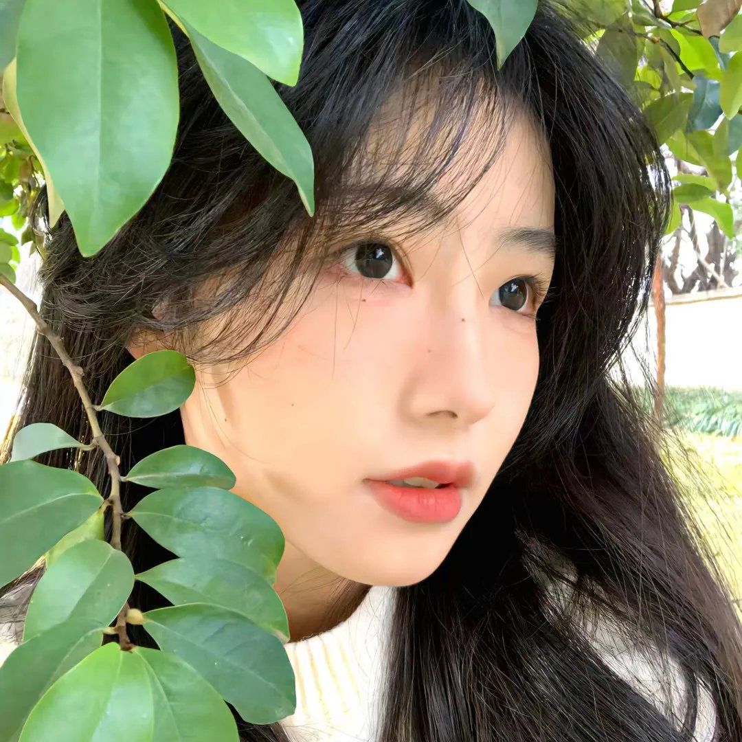 七零大院来了个大美人